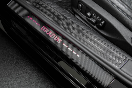 Einstiegsleisten Carbon