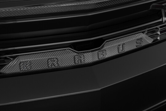 Carbon Tailgate Trim Element