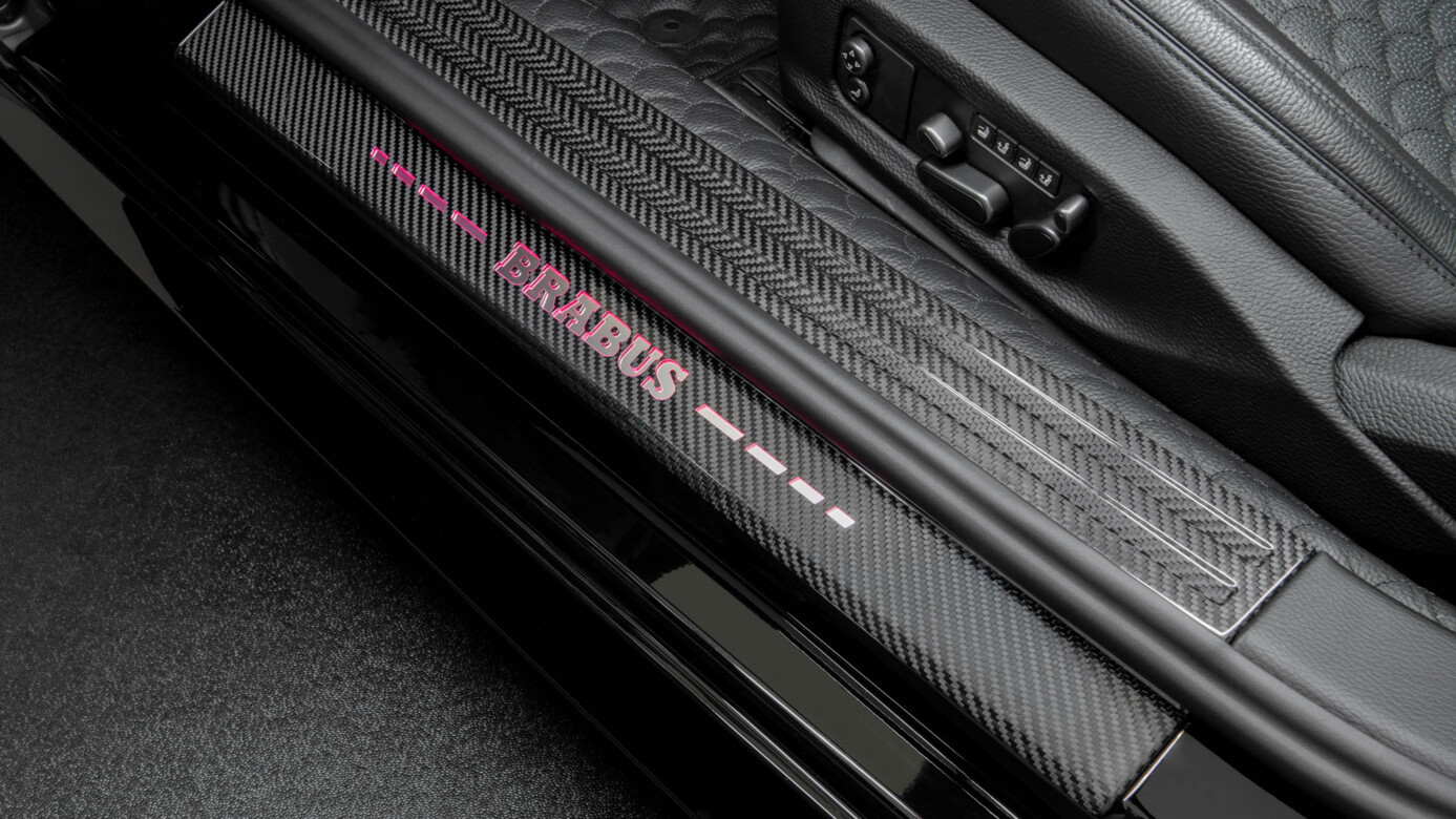 Einstiegsleisten Carbon 0