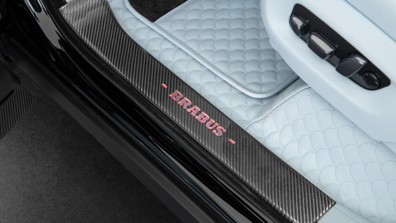 Einstiegsleisten Carbon 0