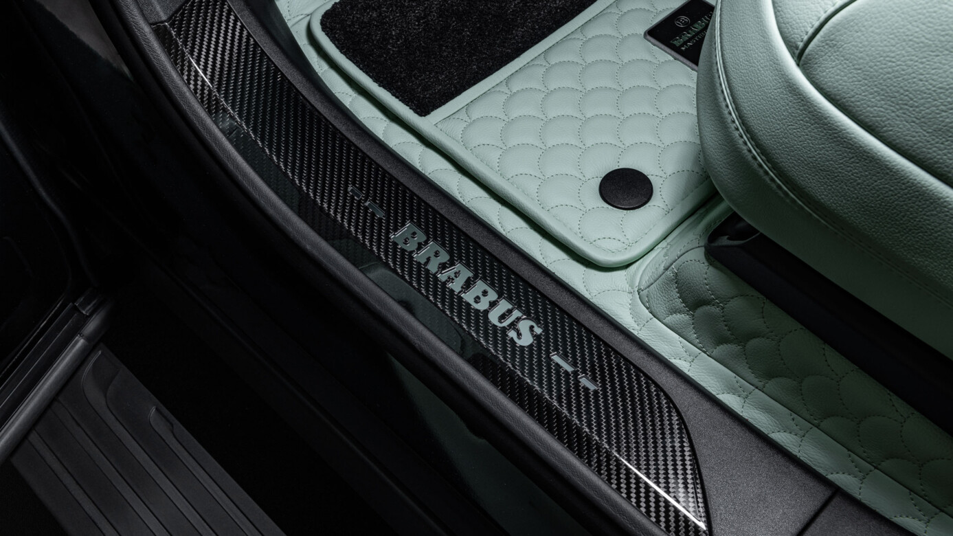 Einstiegsleisten Carbon 0